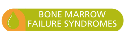 Bone Marrow Failure Syndromes