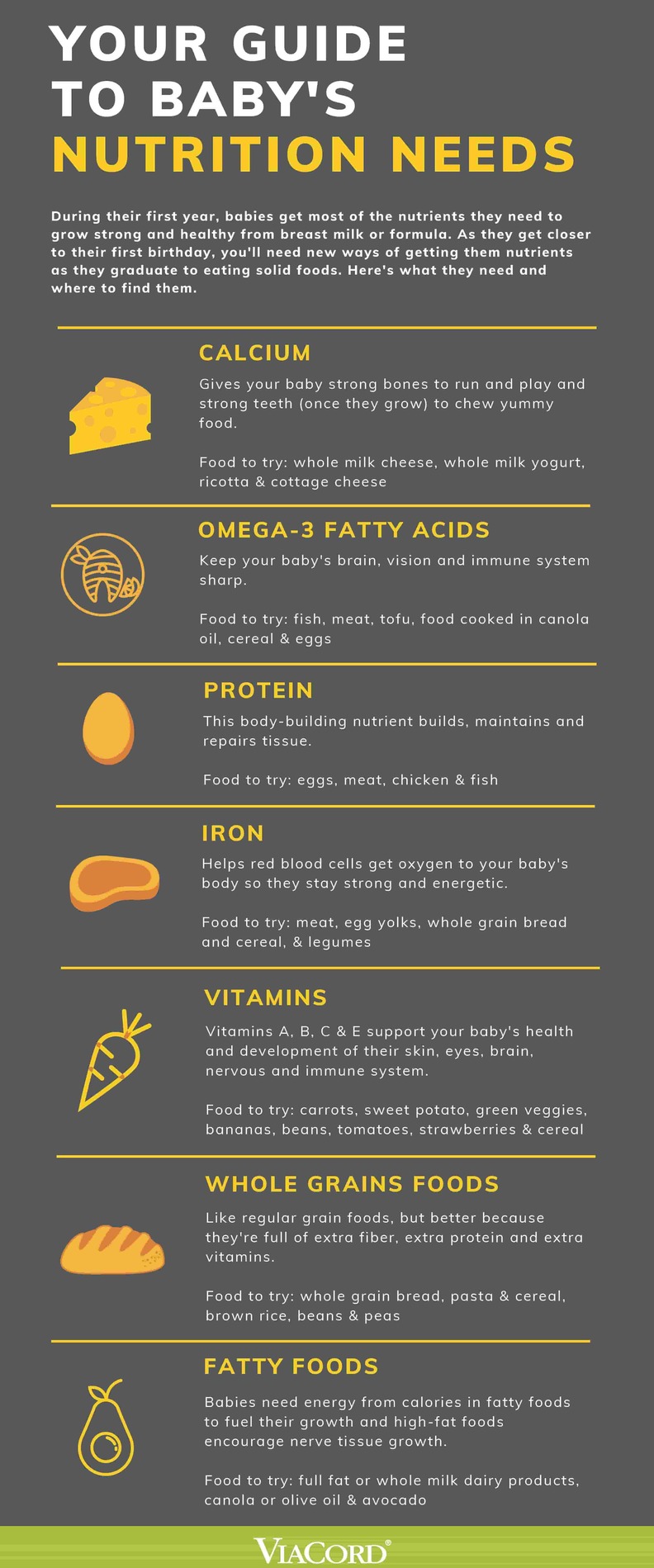 Your Guide to Baby's Nutrition Needs