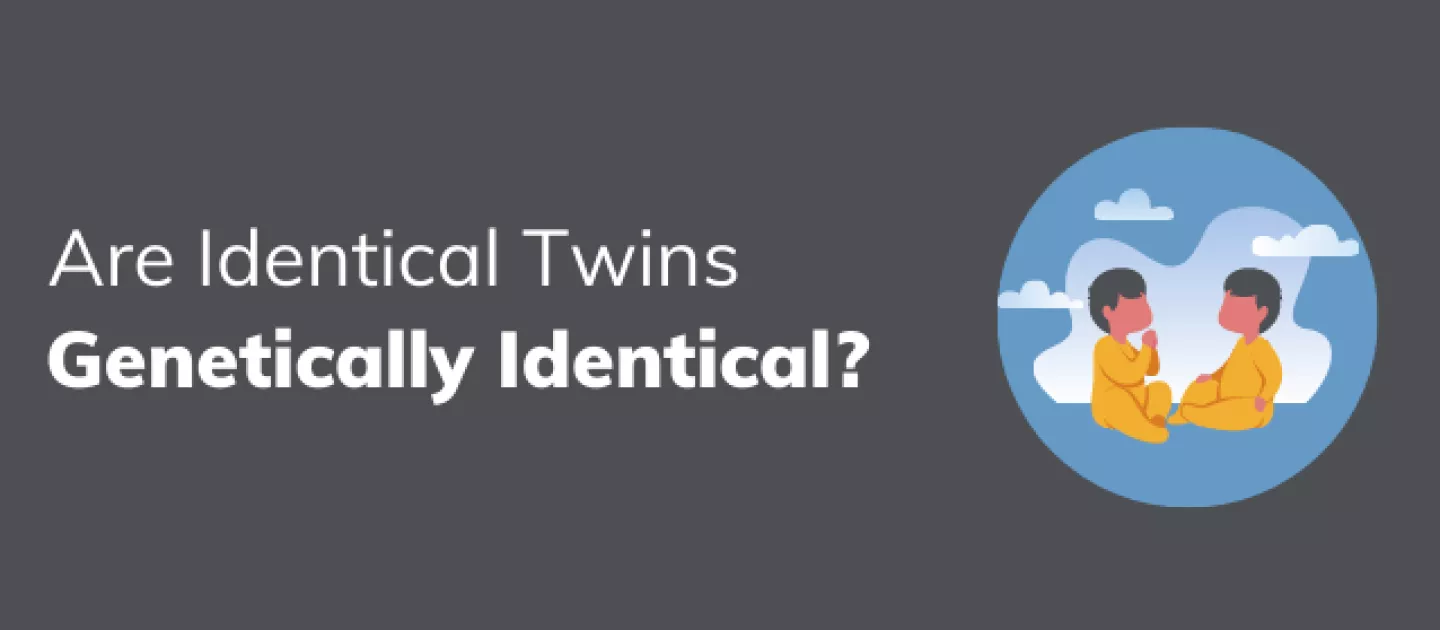 Are Identical Twins Genetically Identical?
