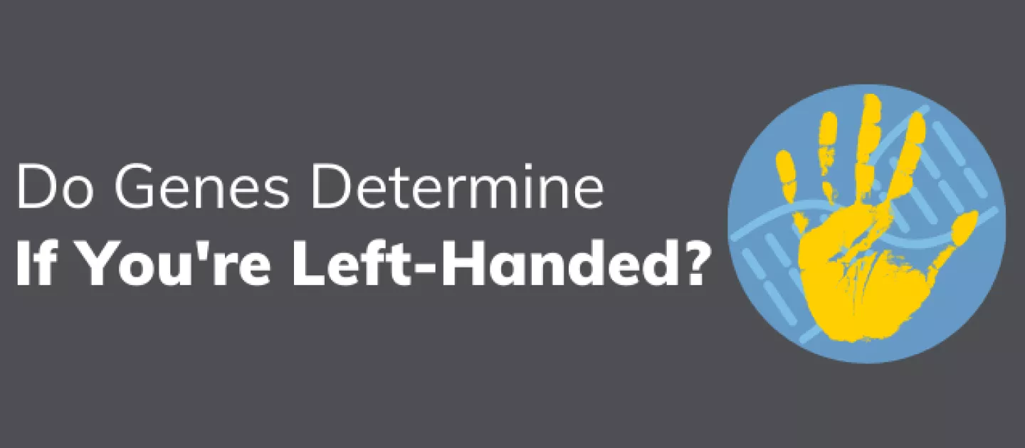Do Genes Determine If You're Left-Handed?