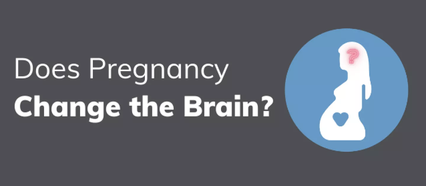 Does Pregnancy Change the Brain?