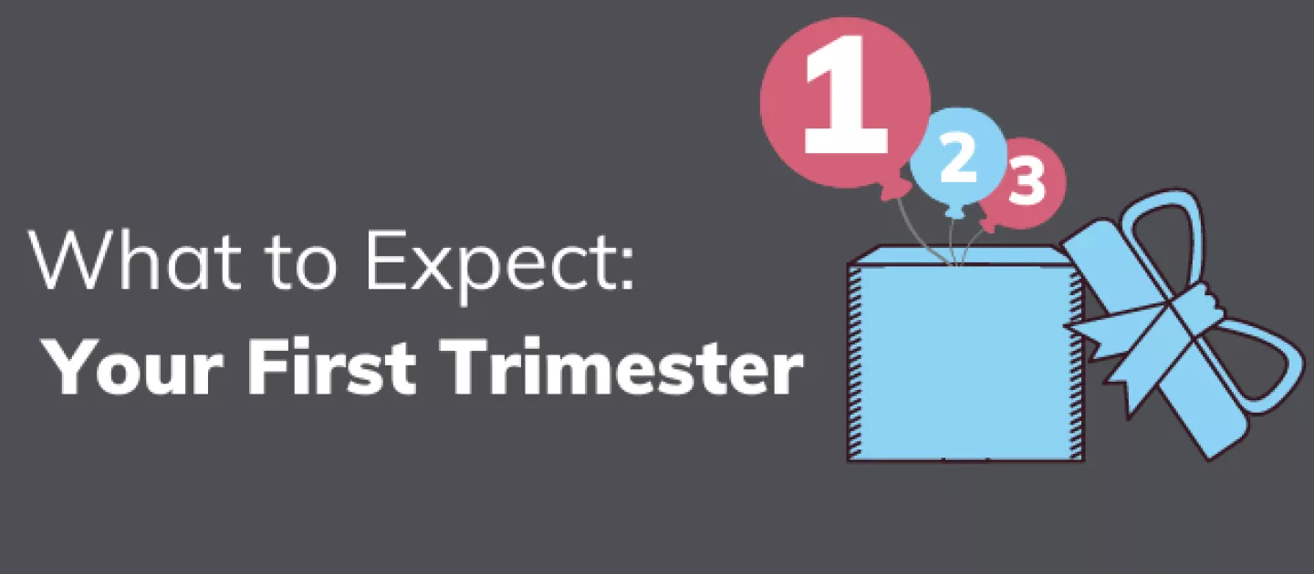 Your First Trimester: What to Expect