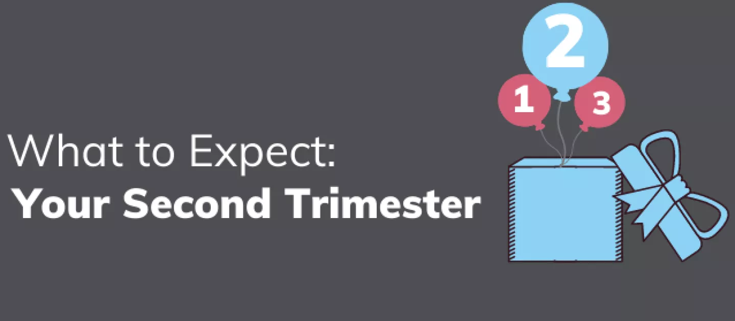 Your Second Trimester: What to Expect