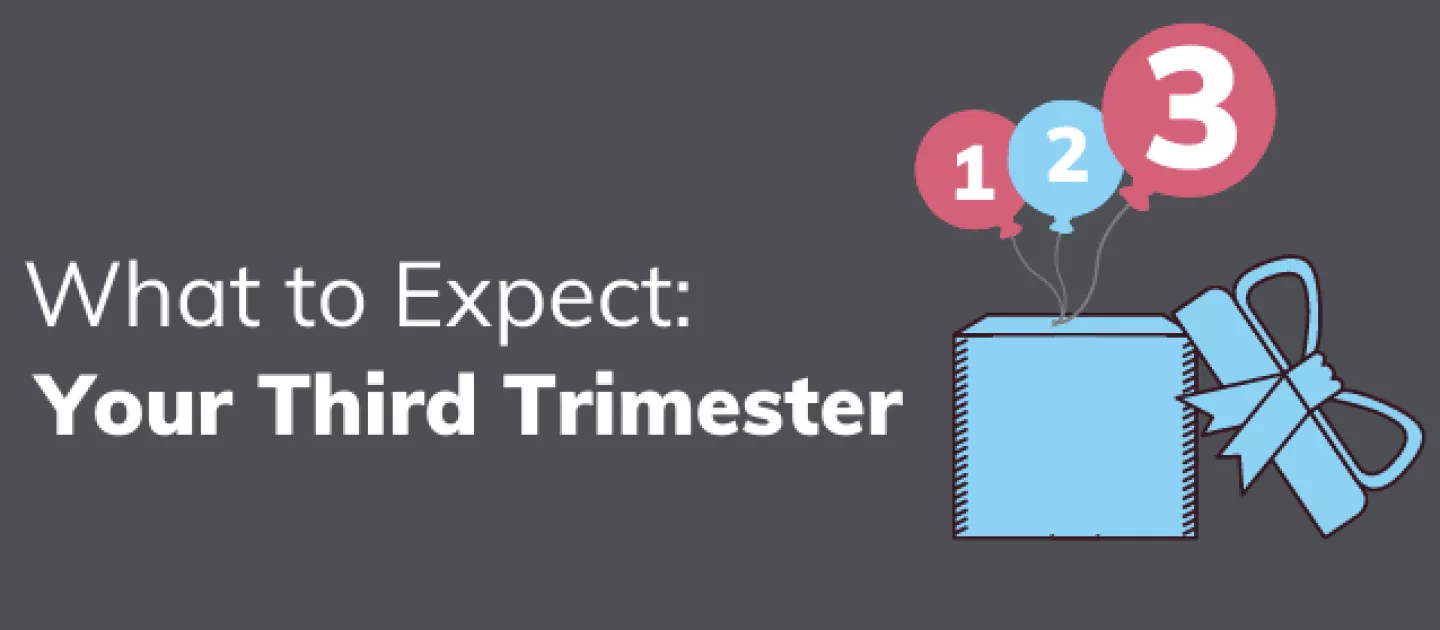 Your Third Trimester: What to Expect