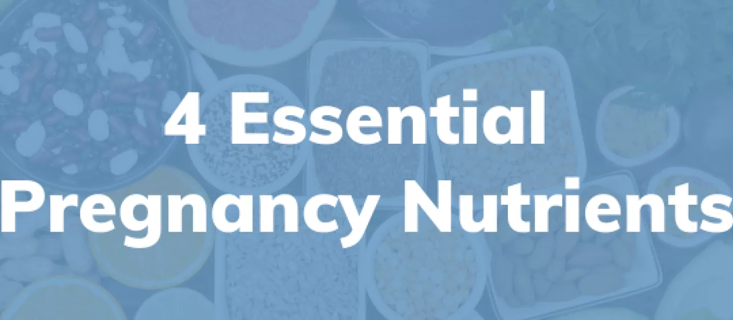 4 Essential Pregnancy Nutrients