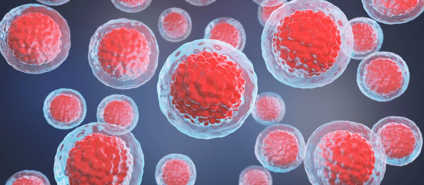 Answering . . . How Long Can Cord Blood Be Stored For?