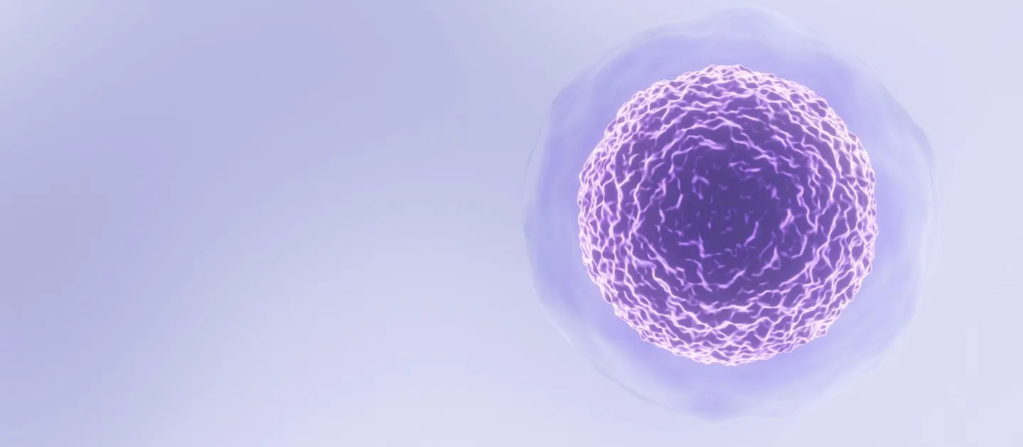 12 Facts About Stem Cells