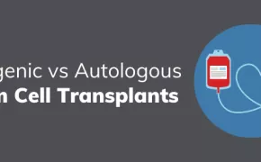 Allogenic vs. Autologous Stem Cell Transplants