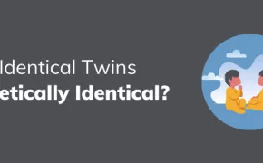 Are Identical Twins Genetically Identical?