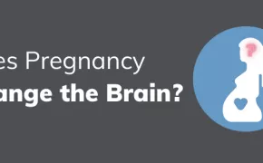 Does Pregnancy Change the Brain?