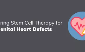 Exploring Stem Cell Therapy for Congenital Heart Defects