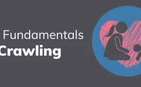 The Fundamentals of Crawling