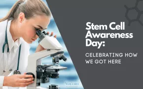 Stem Cell Awareness Day: Celebrating How We Got Here