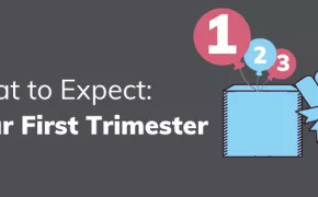Your First Trimester: What to Expect