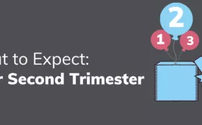 Your Second Trimester: What to Expect