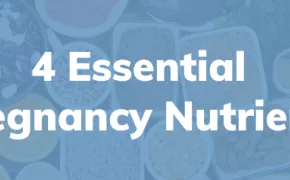 4 Essential Pregnancy Nutrients
