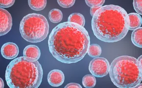 Answering . . . How Long Can Cord Blood Be Stored For?