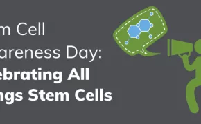 Stem Cell Awareness Day: Celebrating All Things Stem Cells