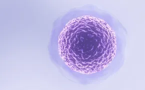 12 Facts About Stem Cells