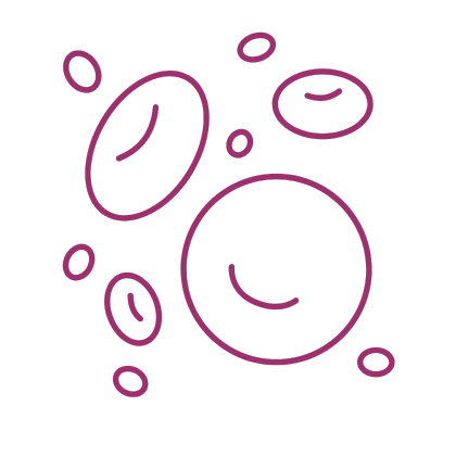 Cord Blood Stem Cells